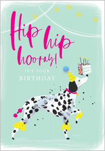 Hip Hip Hooray Birthday