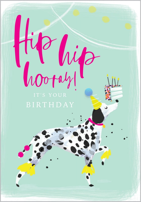 Hip Hip Hooray Birthday